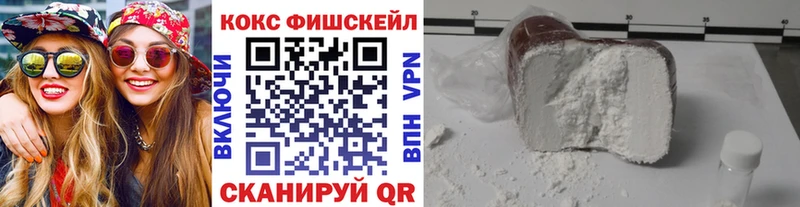 Купить закладки  Нерчинск  Cocaine Fish Scale 
