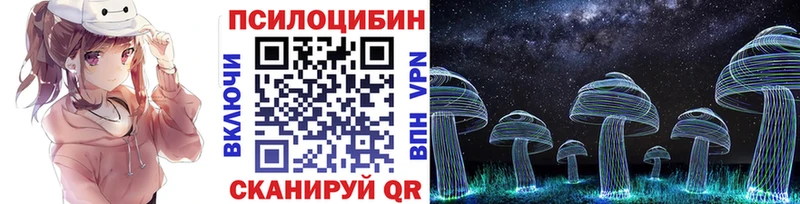 Купить закладки  Нерчинск  Псилоцибиновые грибы прущие грибы 